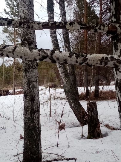 Участок 13 сот. (ИЖС)