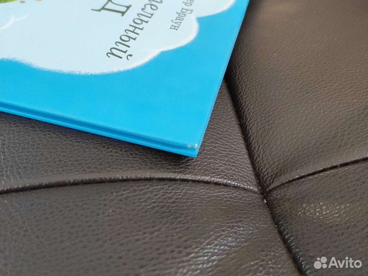 Питер Браун Удивительный сад