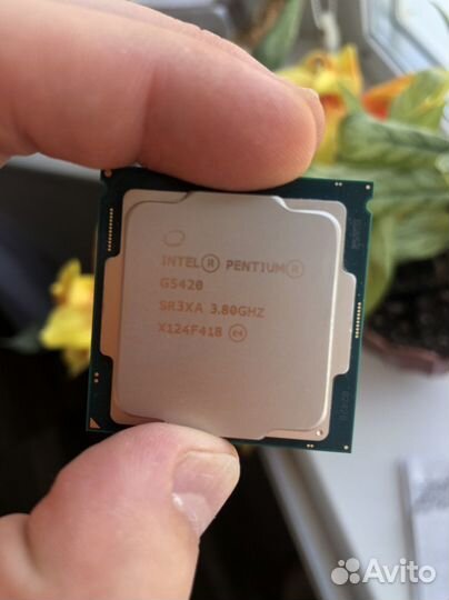 Процессор intel pentium gold g5420