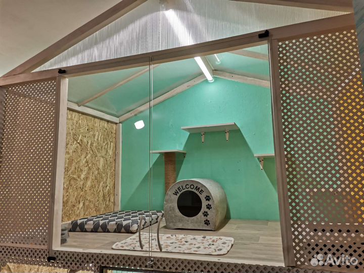 Передержка животных