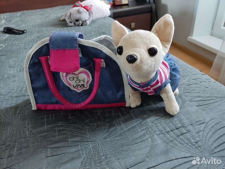 Собачка chi chi love