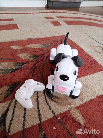 Собака робот