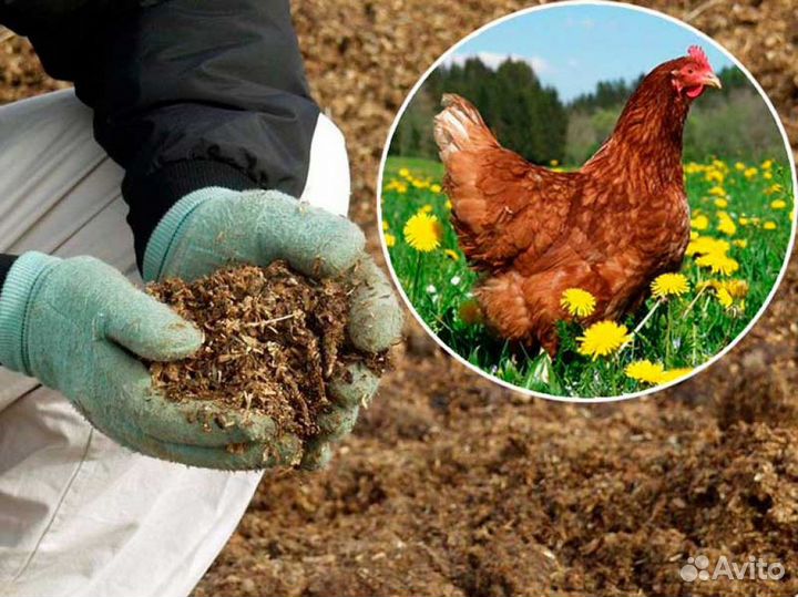 Куриный помет в мешках