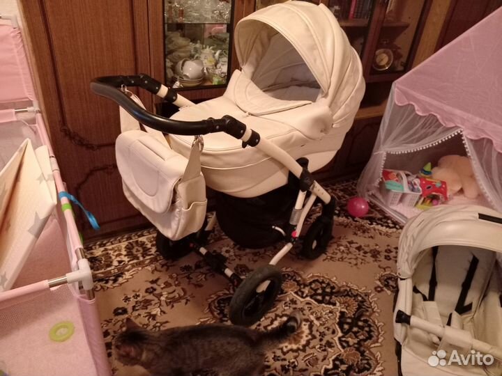 Коляска 2 в 1 adamex