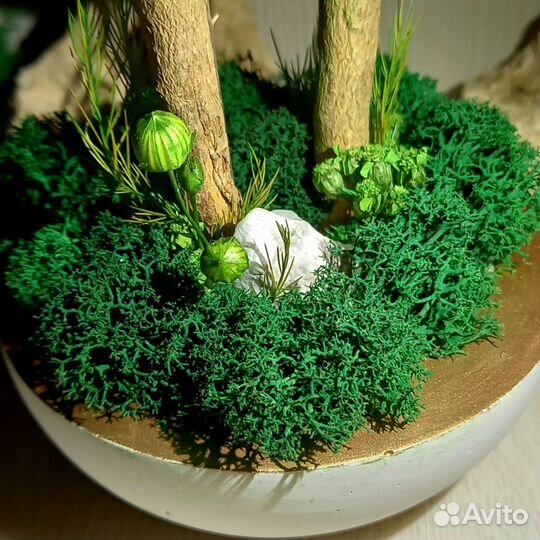 Дерево декоративное