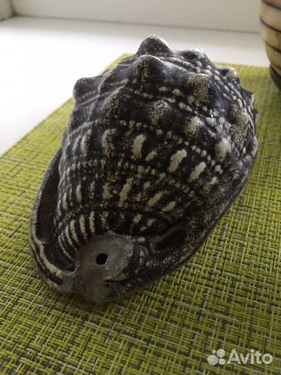 Украшение в аквариум ракушка