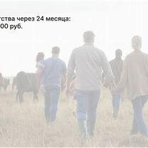 Агентство для колхозников в городе Макеевка, Макеевка