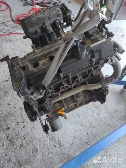 Двигатель Hyundai Elantra XD 1.6 G4ED