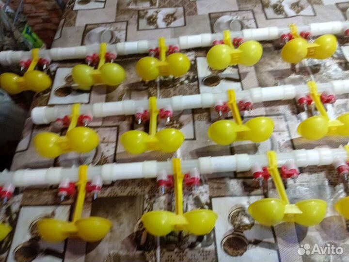 Нипельные поилки для птиц для кроликов