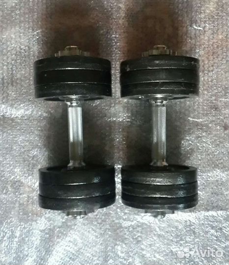 Гантели Torneo 35 кг