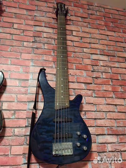 6 струнная бас гитара