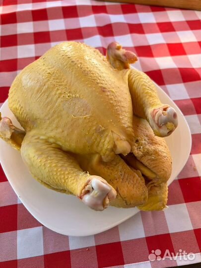Бройлер домашний