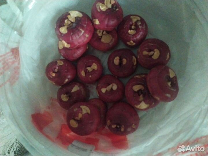 Гладиолусы луковицы