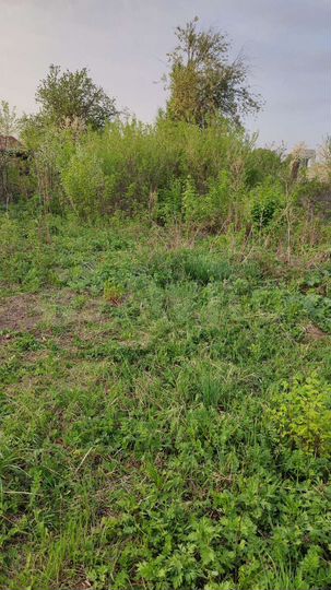 Дача 20 м² на участке 6 сот.