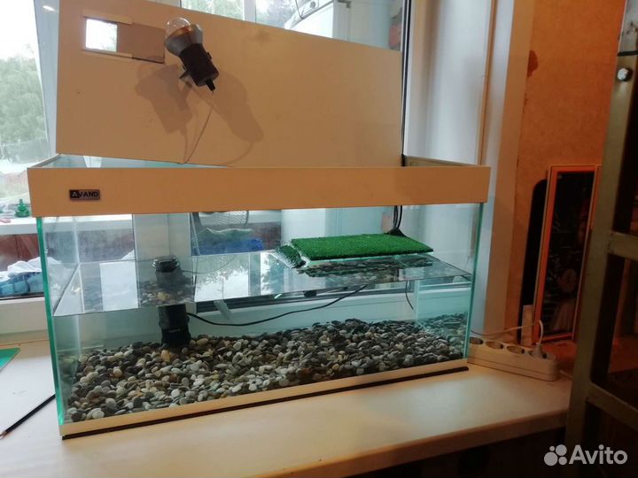Аквариум на 100 литров