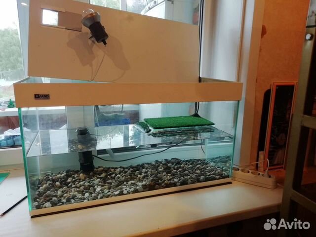 Аквариум на 100 литров
