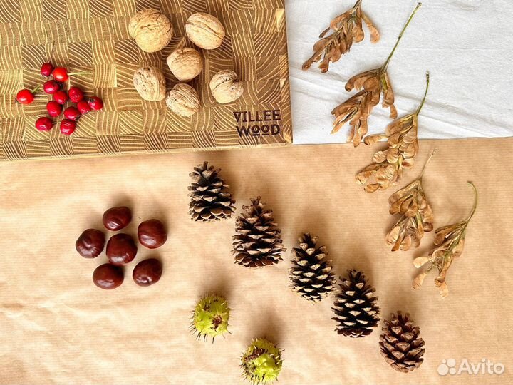 Природные материалы для поделок и творчества