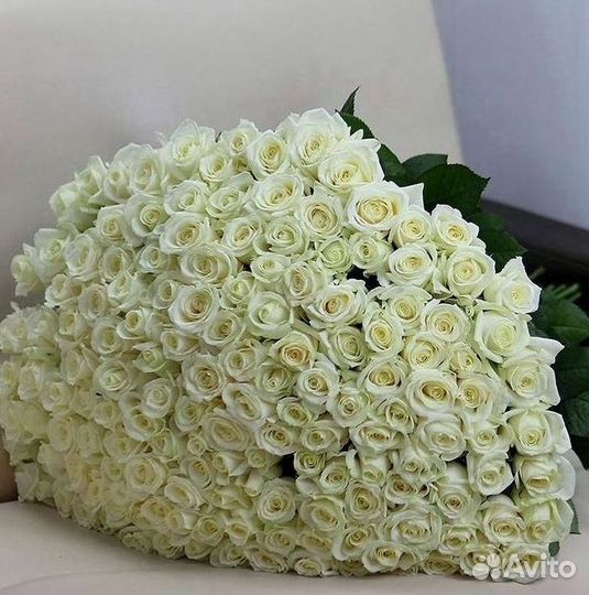 Высокие розы Букеты с доставкой