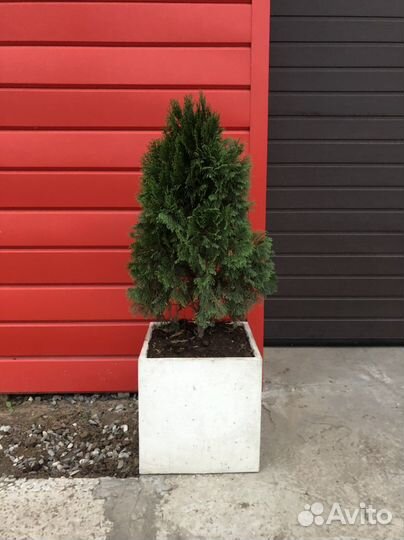 Кашпо, вазон, цветочница из бетона лофт для цветов