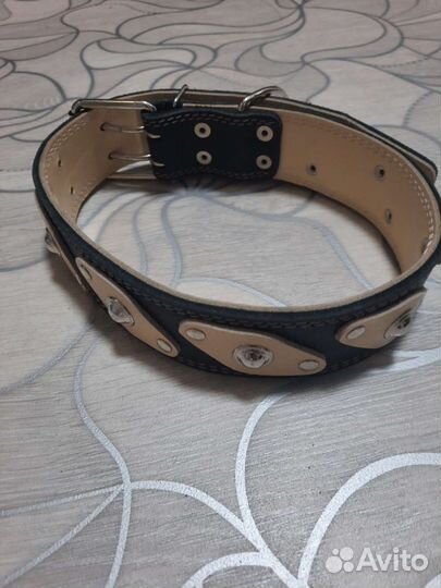 Ошейник для собак
