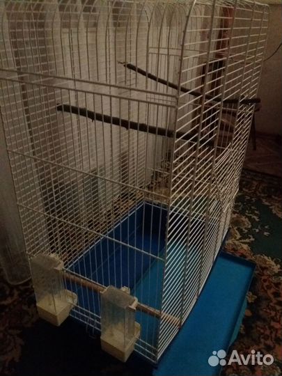 Клетка для птиц