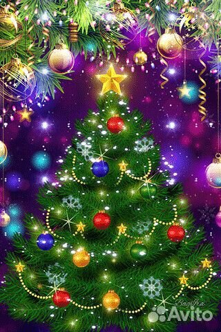 Ремонтантная малина и ремонтантная клубника