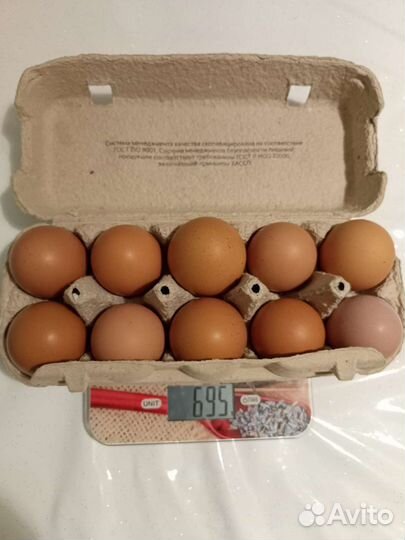 Домашние куриные яйца