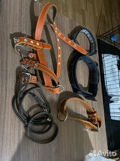 Ошейники и поводки для собак