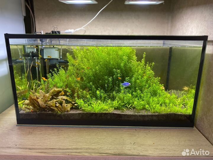 Аквариум 110 л