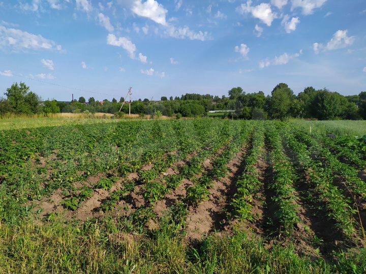 Участок 15 сот. (ИЖС)