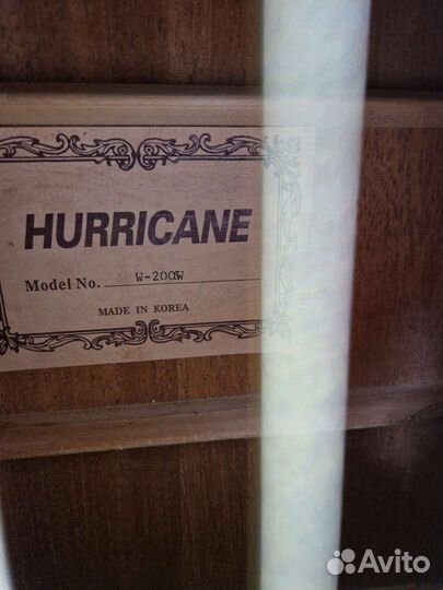 Гитара Hurricane W-200SW