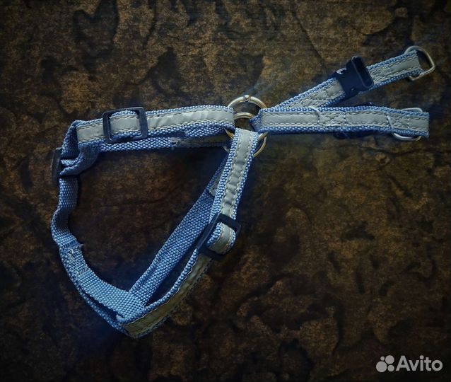 Корм ошейник шлейка