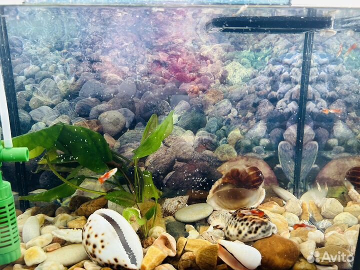 Аквариум с рыбками