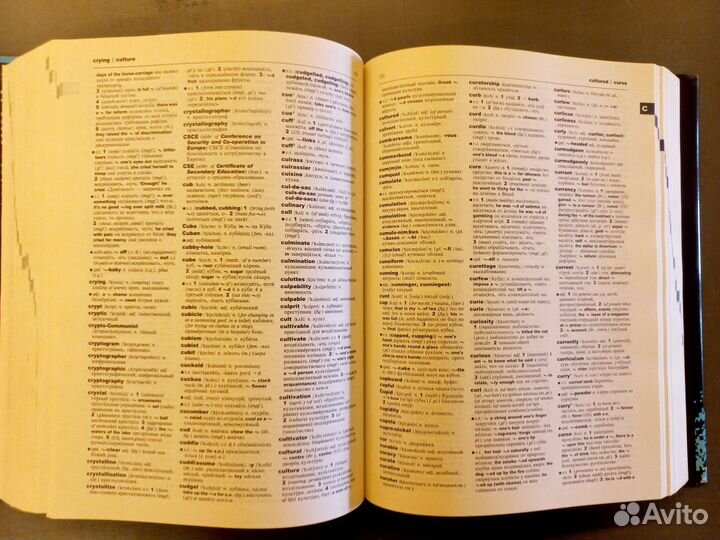 Oxford russian-english/english-russian dictionary