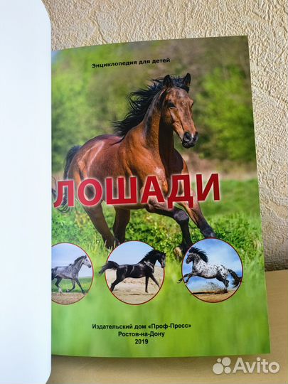 Энциклопедия для детей Лошади