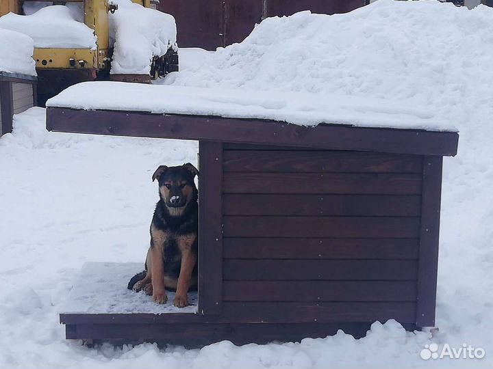 Будки и вольеры для собак