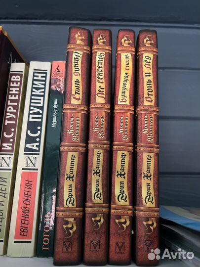 Книги Коты-Воители