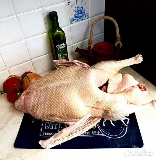 Утки домашние