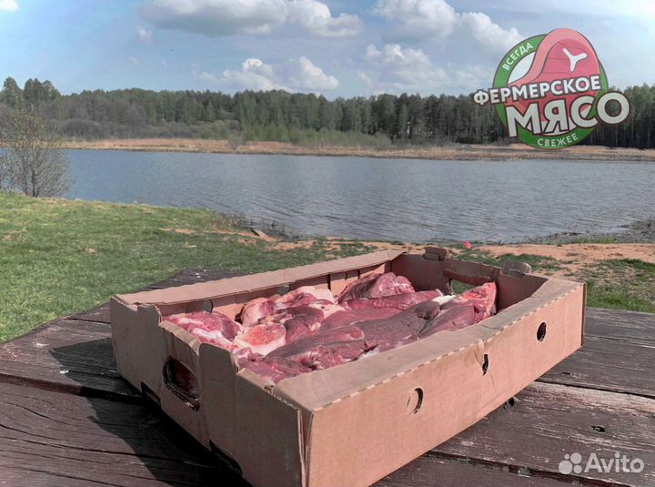 Мясо говядина