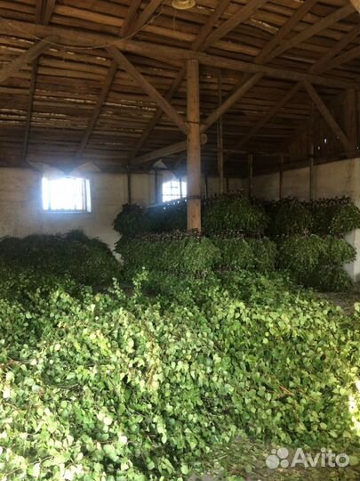 Веники для Бани