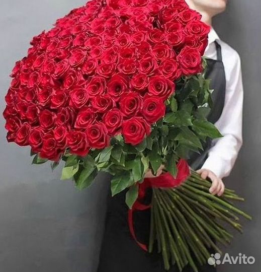 101 роза цветы букеты доставка 25 51 101 роза