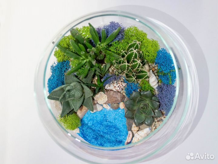 Флорариум с суккулентами и водоемом