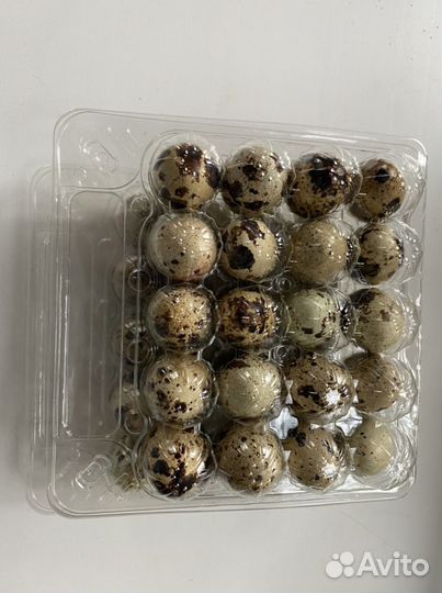 Упаковка под перепелиные яйца 20 ячеек