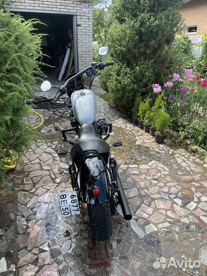 Harley Davidson sportster