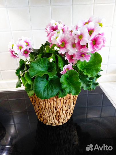 Кашпо плетеное (Малайзия)