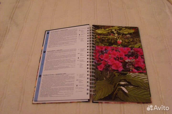 Новые красочные энциклопедии по цветоводству