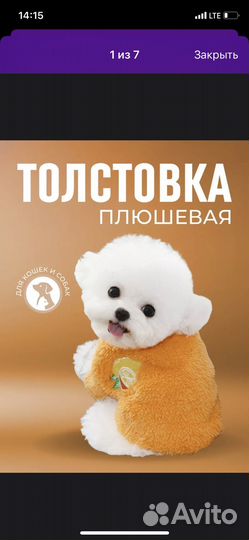 Толстовка для животных