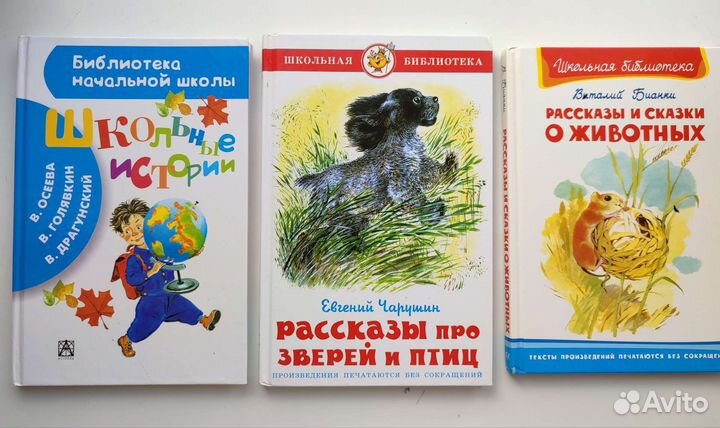 Книги для внеклассного чтения