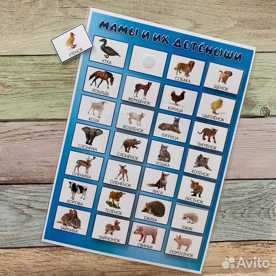 Игры на липучках