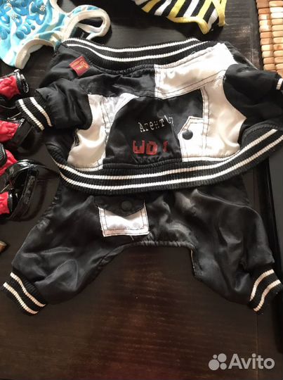 Одежки для йорка